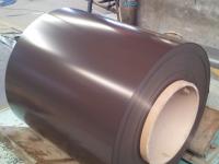 Prepainted galvanized steel coil(PPGI)